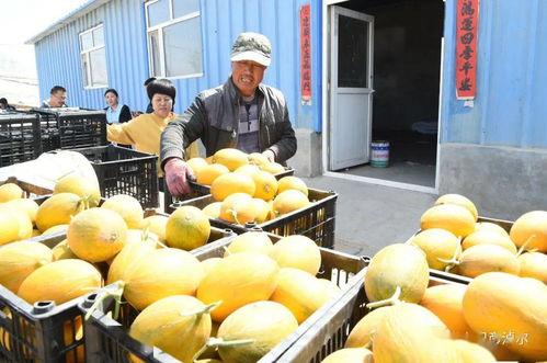 吃瓜网今日吃瓜网红,网红风云再起，吃瓜网揭秘网红幕后故事