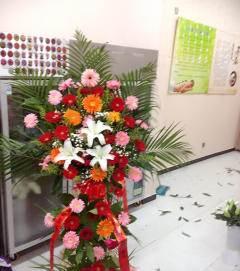 今日吃瓜-唐山花店